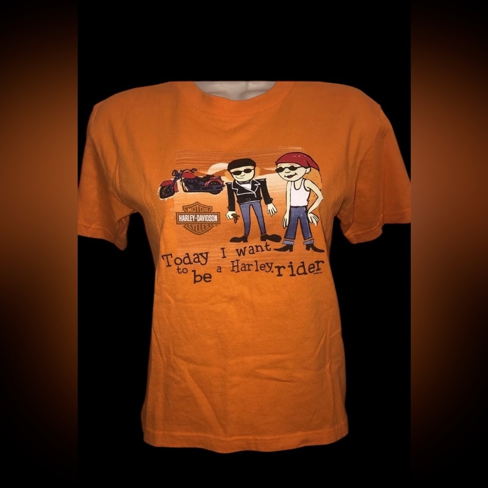 Harley-Davidson Orange‎ Graphic vintage 2005 T-Shirt sz small